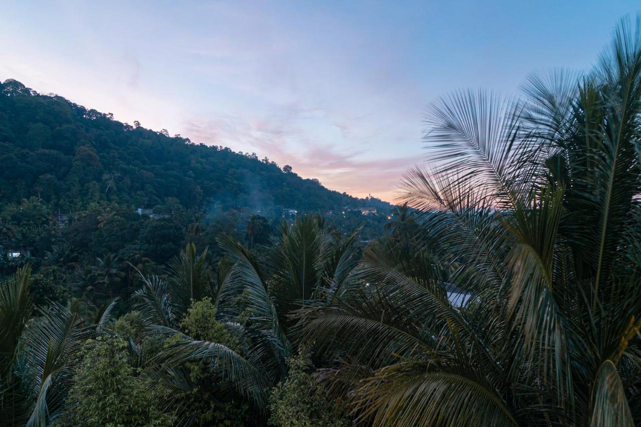 Sun Set Forest Villa Kandy Eksteriør bilde